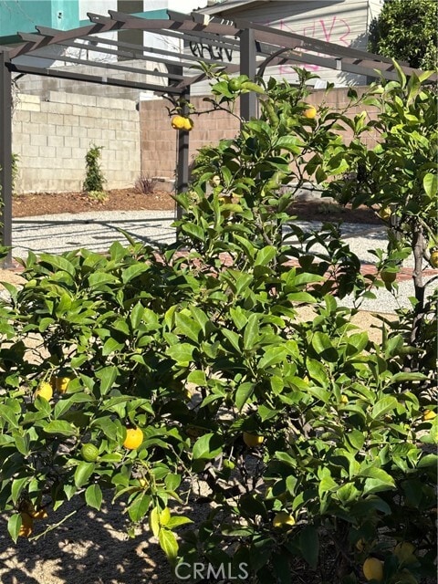 Building Photo - 1042 S Catalina St