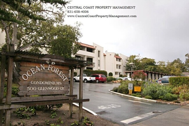 Primary Photo - Ocean Forest Condo. Basic utilities included