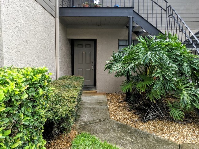 Building Photo - Great 2/2 Condo by USF