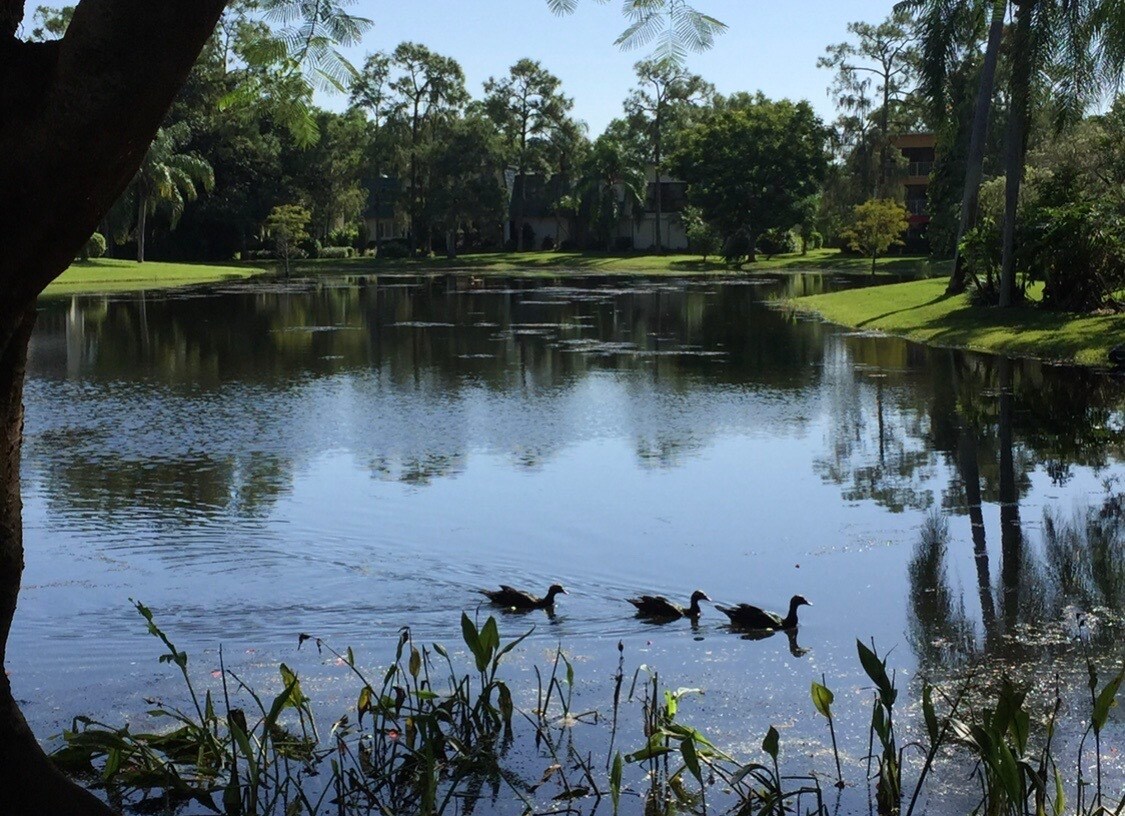 Building Photo - 1810 Bald Eagle Dr