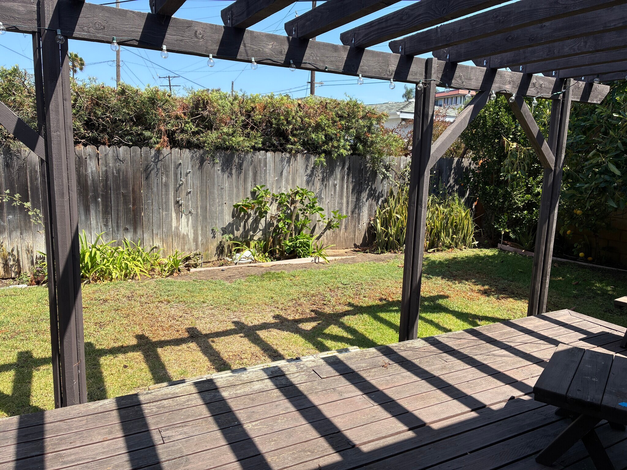 Back Yard - 501 Gould Ave