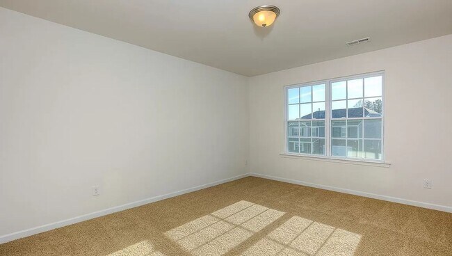 Building Photo - Spacious Newer Construction In Candler