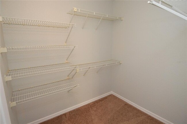 Building Photo - 10265 Gandy Blvd N