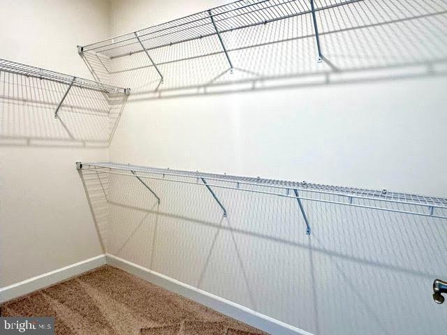 Building Photo - 3822 Rainier Dr