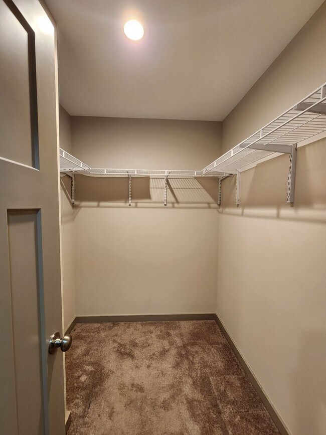 Building Photo - Asheville Rental!