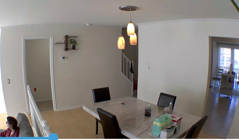 Building Photo - 4461 Starling Ct