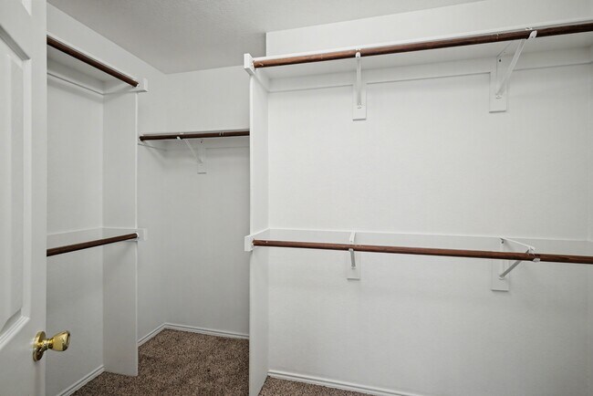 Building Photo - 8401 Tribute Ln