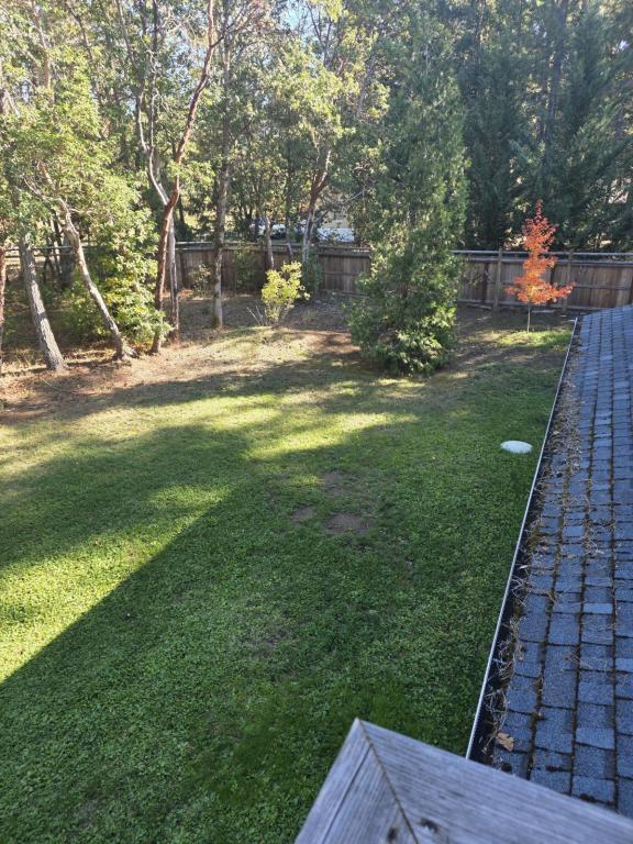 Building Photo - 3806 Jumpoff Joe Creek Rd