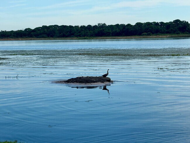 Building Photo - 9209 Seminole Blvd