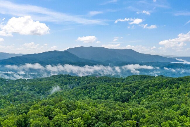 Building Photo - 1903 Ash Pass