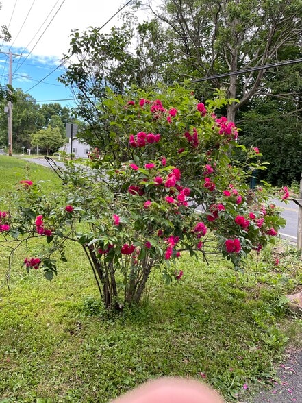 Building Photo - 257 Lake Rd