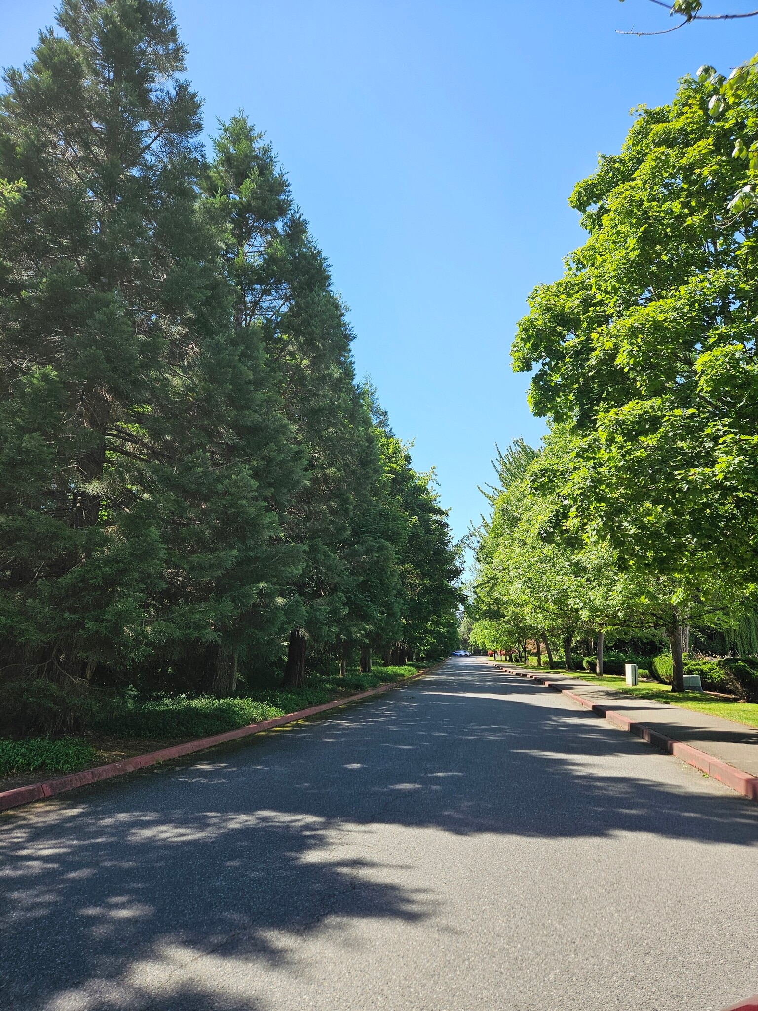 Peaceful drive to your home - 18621 Blueberry Ln