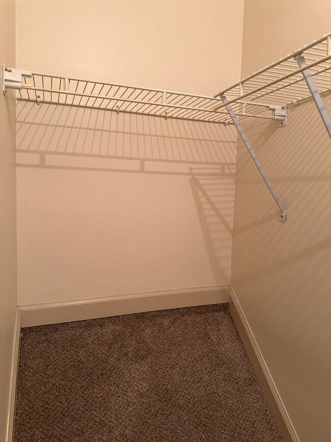 Building Photo - Colony Square Condo Available