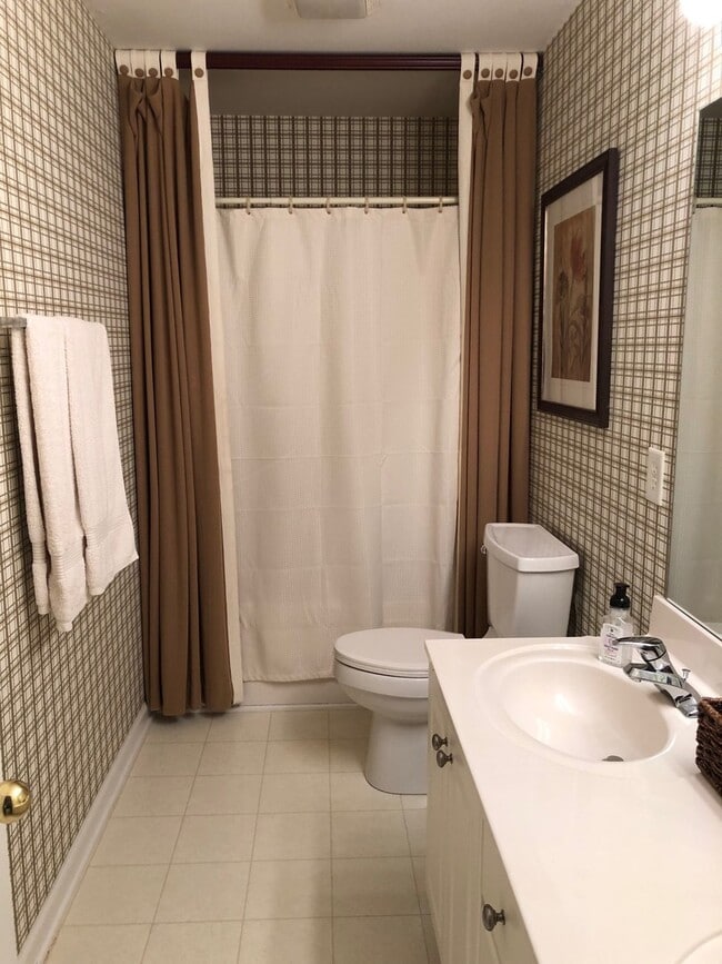 Building Photo - McKay's Mill McMansion