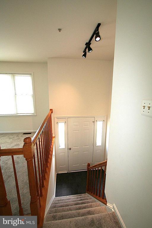 Building Photo - 4405 Apex Ln