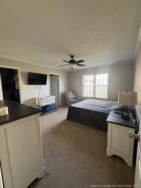 Building Photo - 209 Dolphin Dr