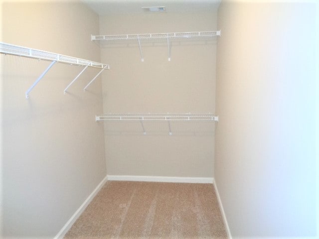 Building Photo - 1242 Carlton Ridge Dr