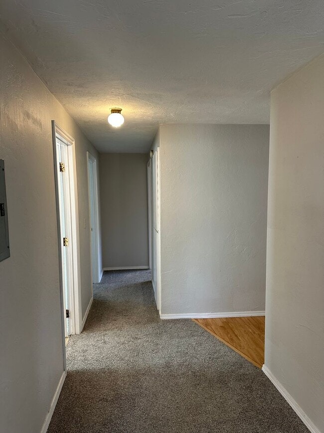 Building Photo - Updated 2 bed 1 bath dulpex in Springfield!