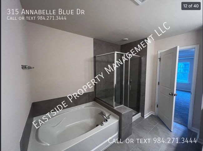 Building Photo - 315 Annabelle Blue Dr