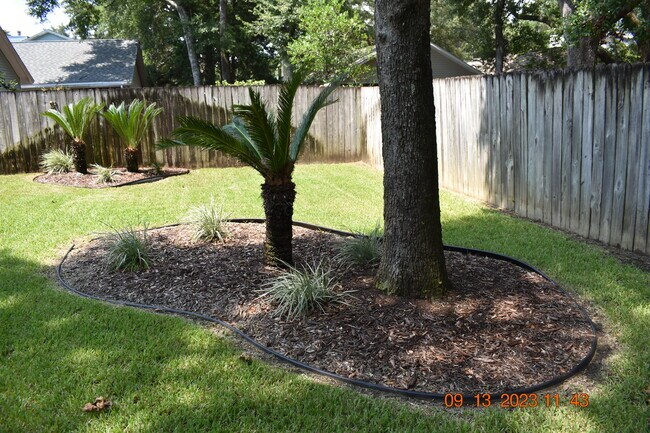 Back yard - 3126 Station Ct