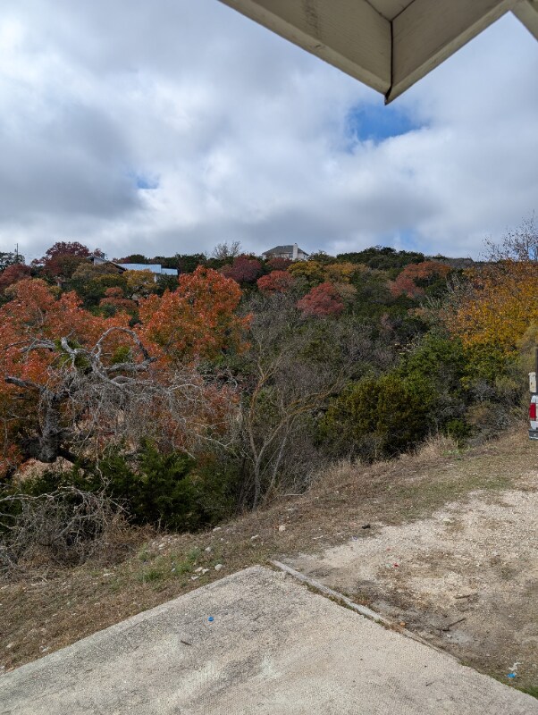 Building Photo - 115 Renee Ln