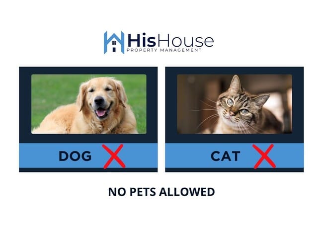 Building Photo - 3822 W 11th St