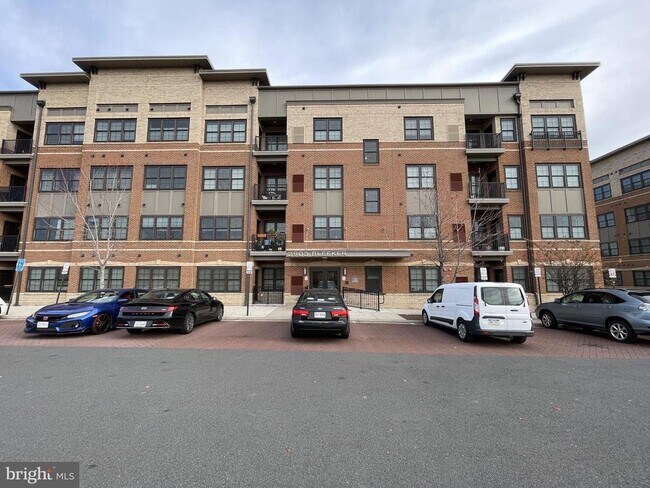 Primary Photo - 2903 Bleeker St