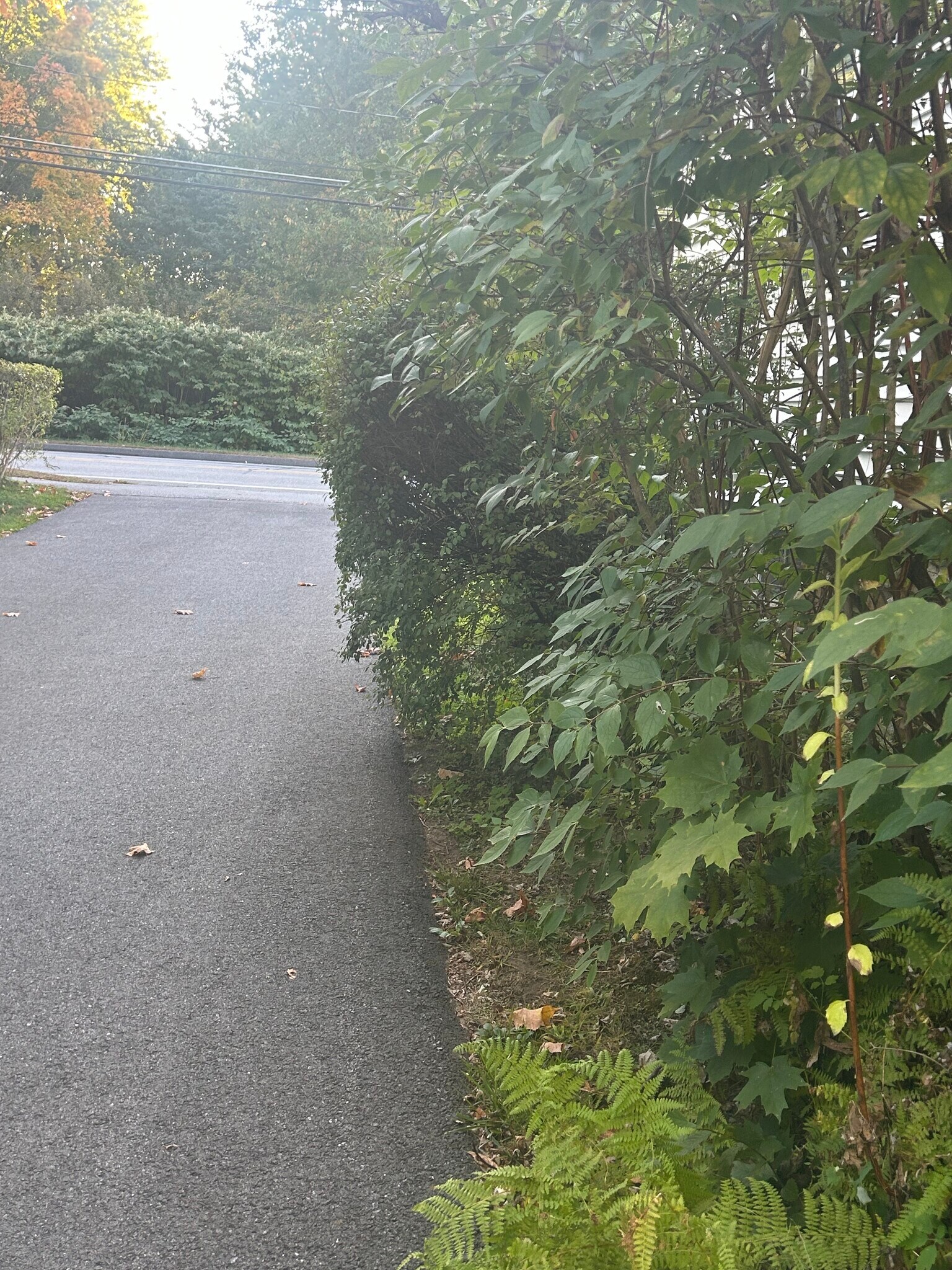 Building Photo - 30 Goldsmith St