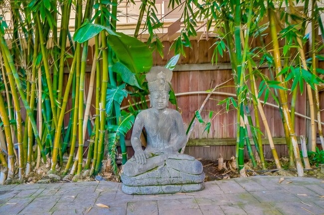 Building Photo - 3131 E Corto Pl