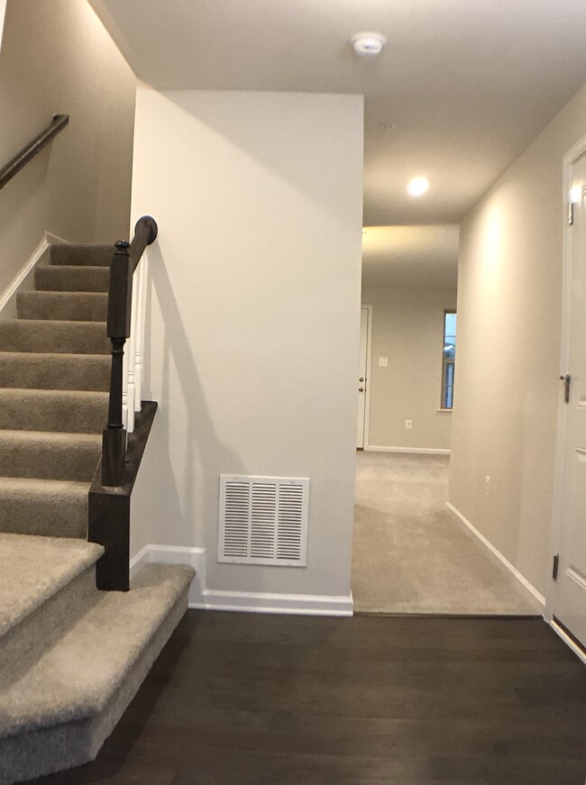 Building Photo - 2917 Stagg Ln