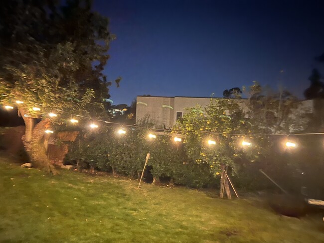 Backyard string lights - 2142 Baxter St