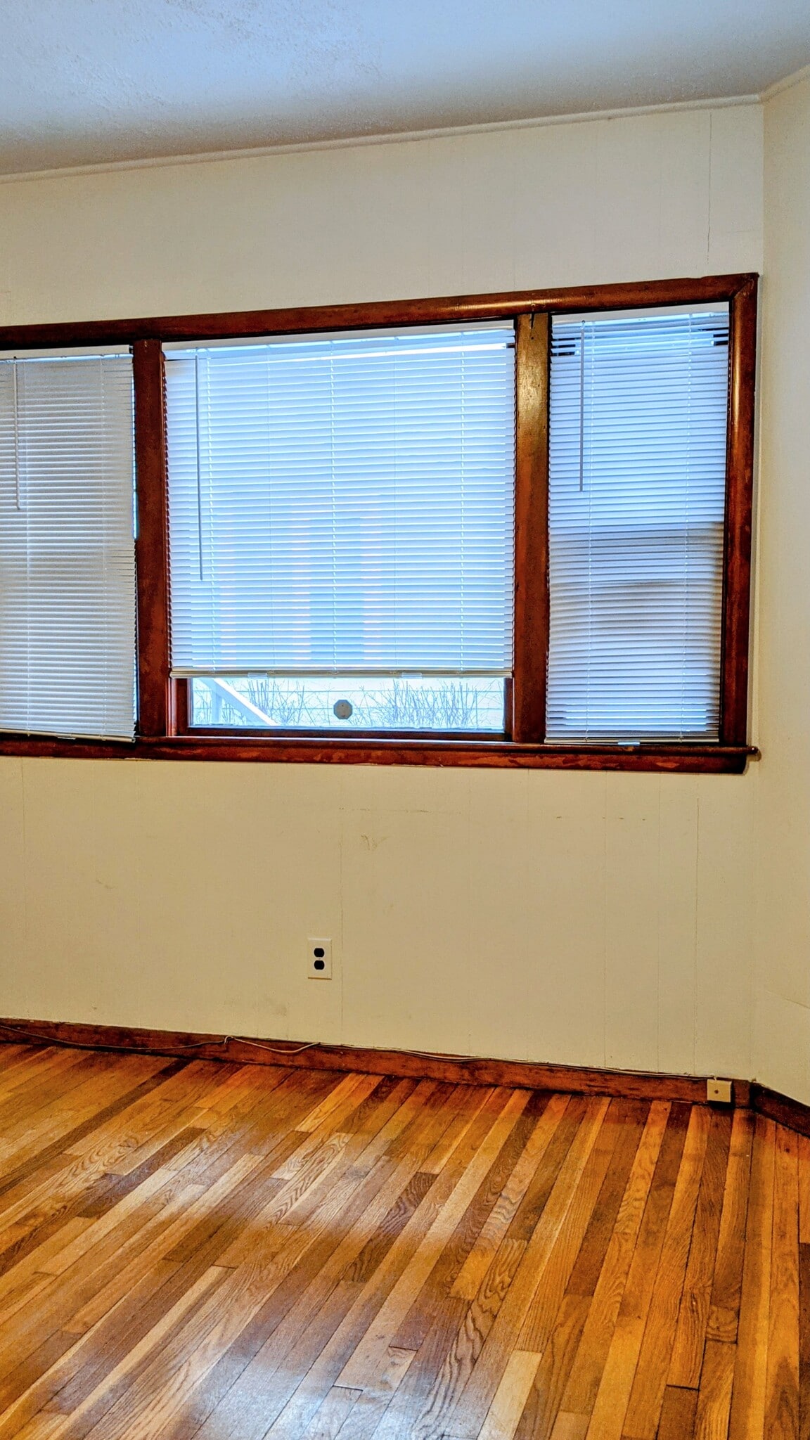 Building Photo - 69 Dana St