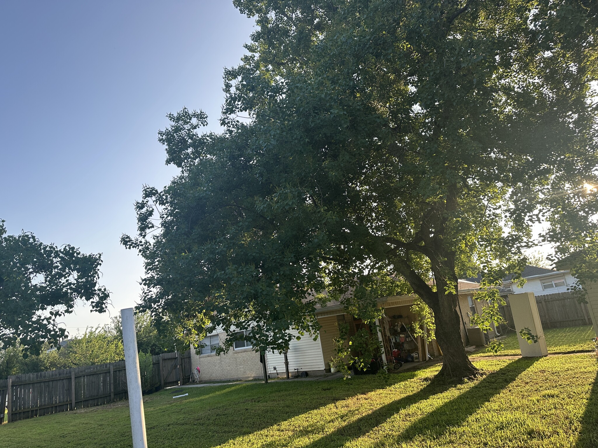 Building Photo - 209 Cougar Dr