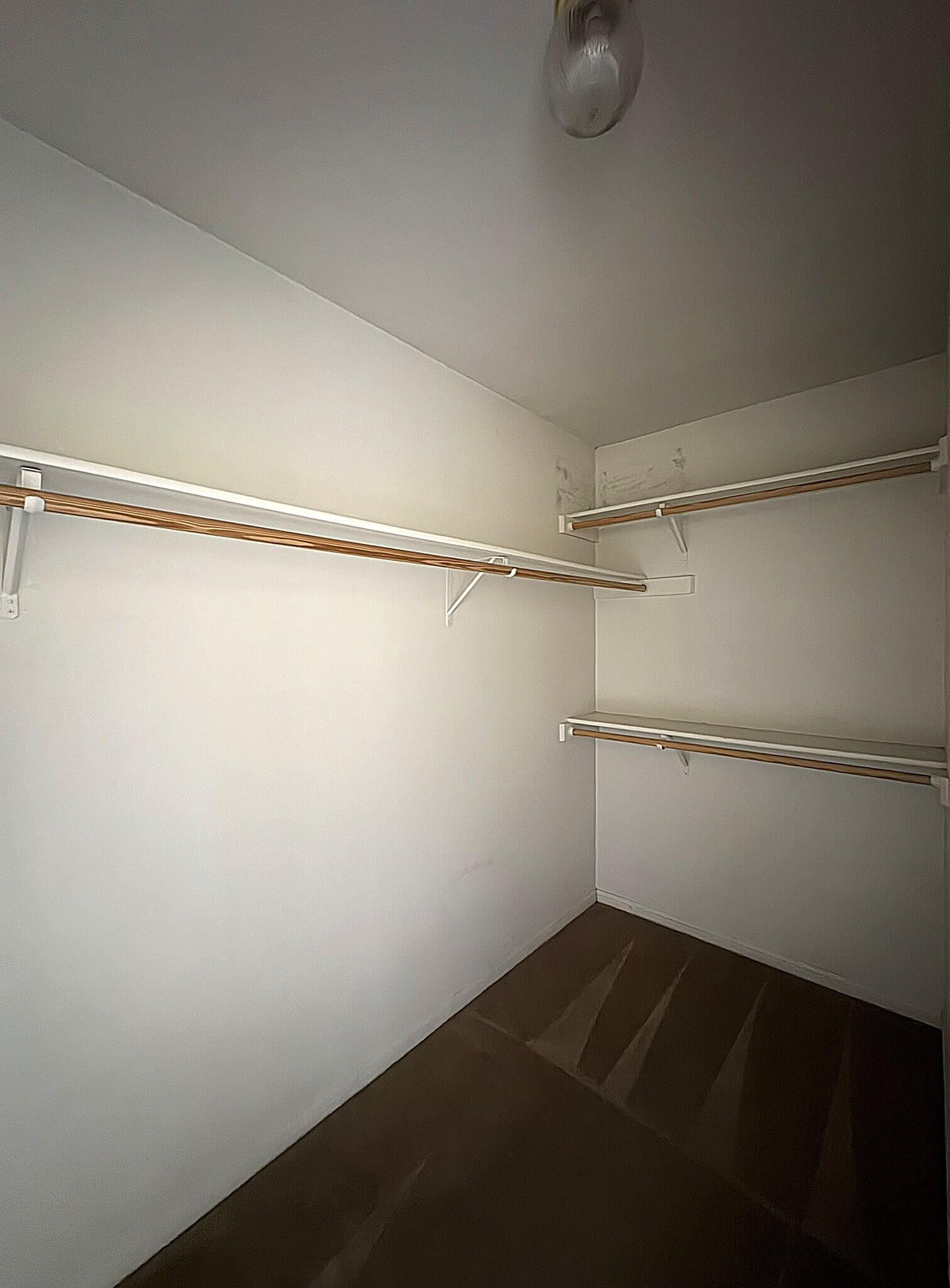 Building Photo - 2703 Vernice Loop