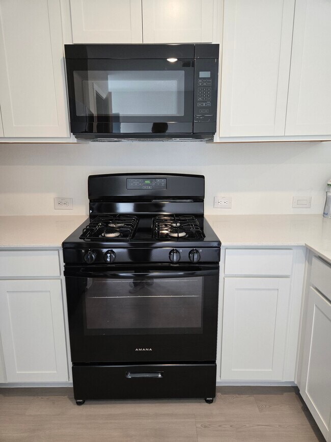 Building Photo - 3112 Burmese St