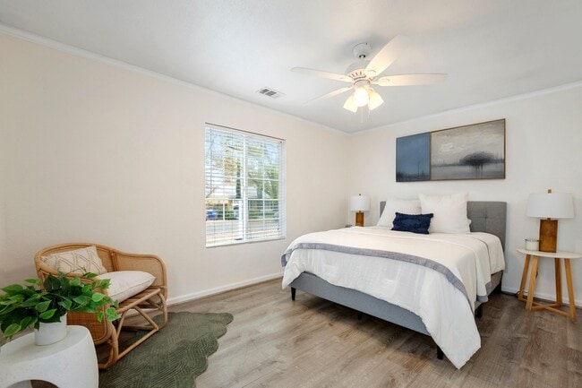 Building Photo - 2561 Pacific St