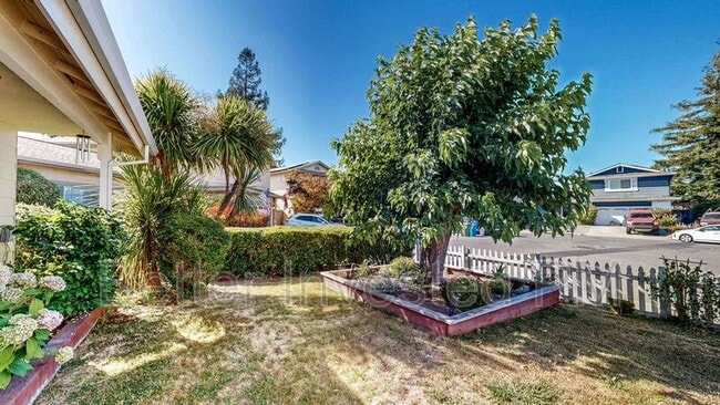 Building Photo - 848 Sprucewood Ct