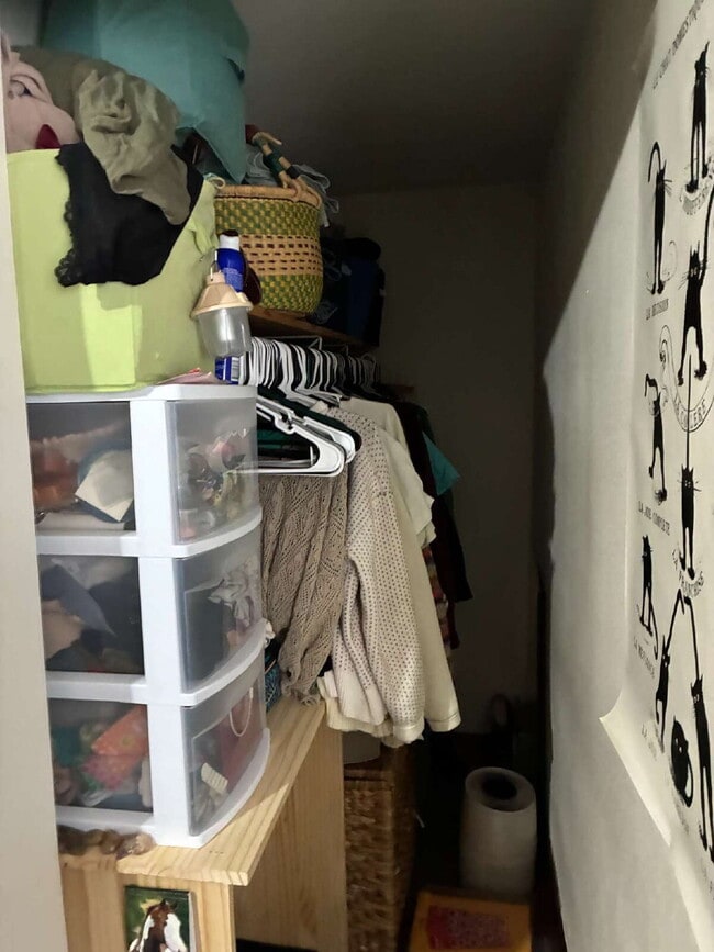 Building Photo - 4 Bedroom, 2 Bathroom Home With Views of Downtown & Fenced In Yard