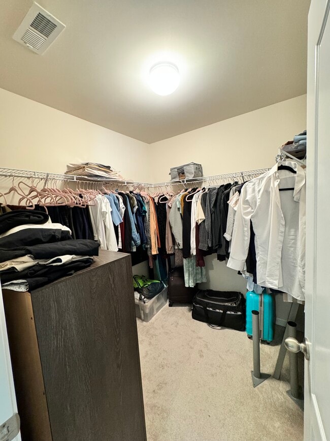 Building Photo - 529 Common Raven Ct