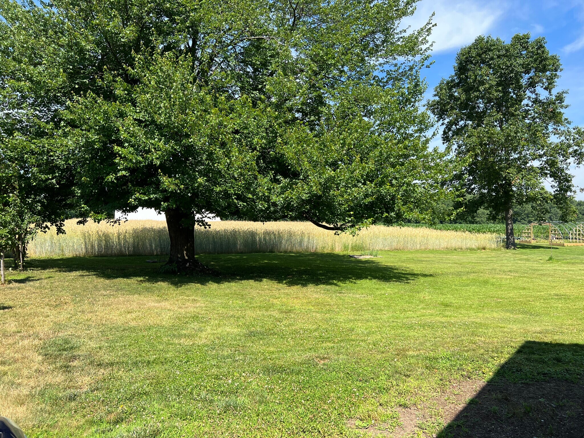 Building Photo - 234 River Dr