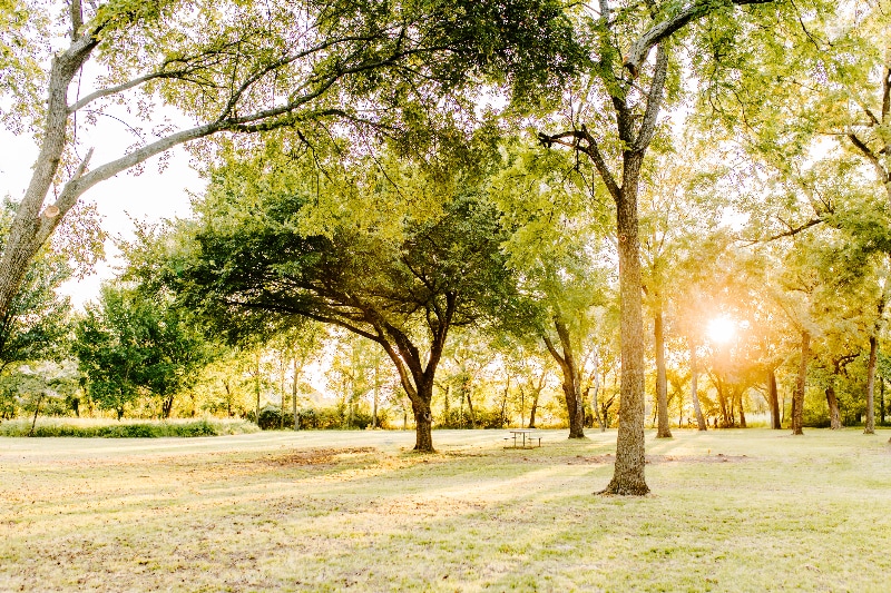 Building Photo - 9037 N Mem Dr