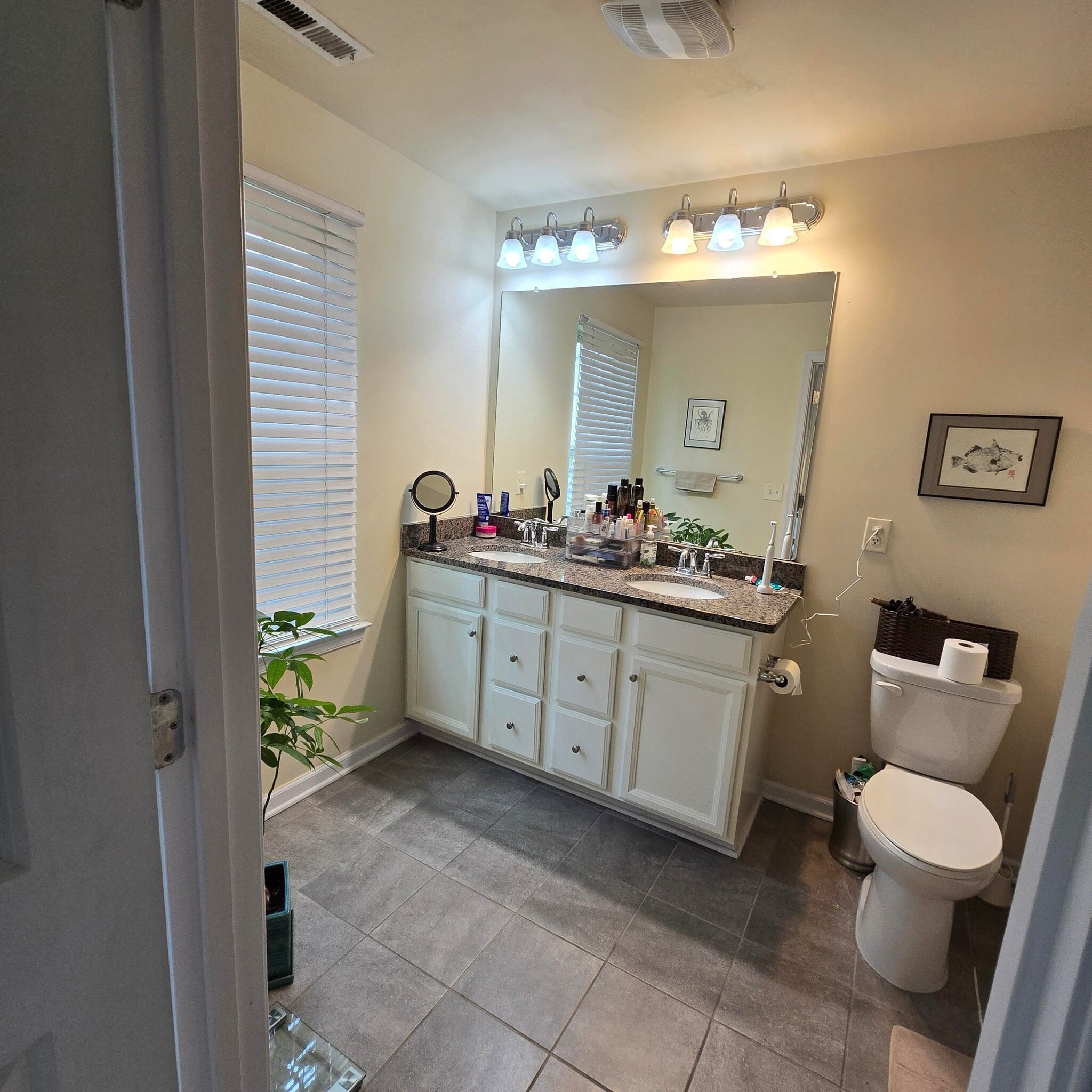 Building Photo - 76 Albert Ct