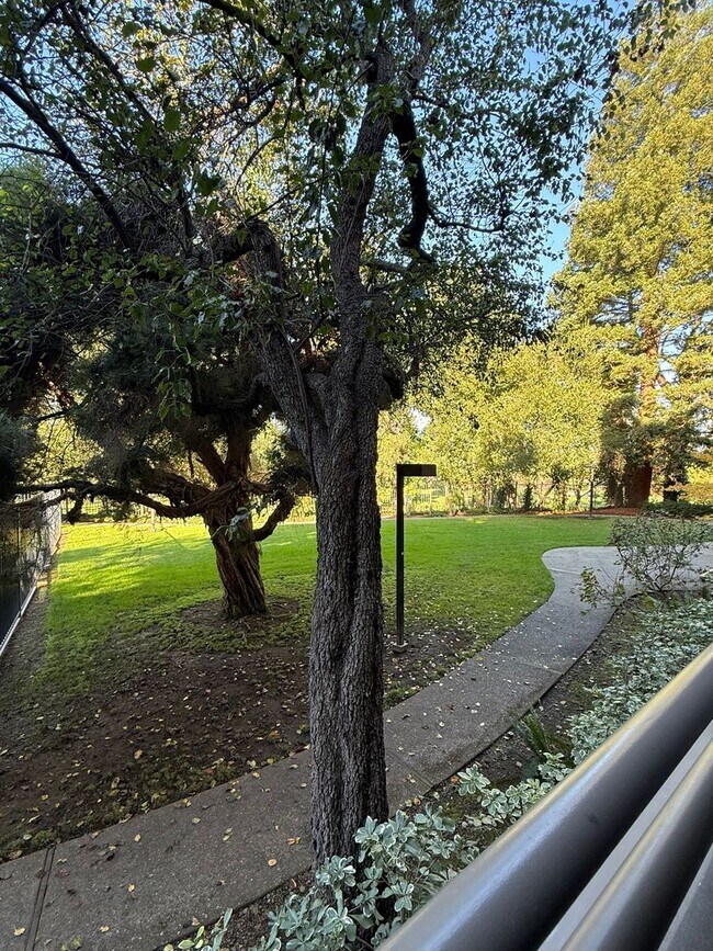 Building Photo - Spacious 2 Bedroom 2 Bath Condo with a View