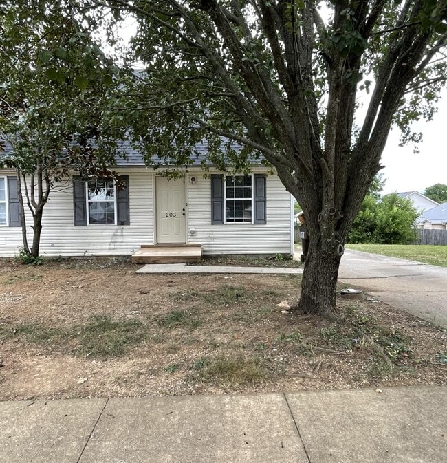 Primary Photo - 203 Maple Leaf Ln