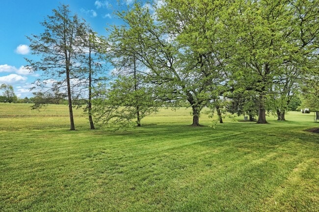 Building Photo - Beautiful Full Home in York