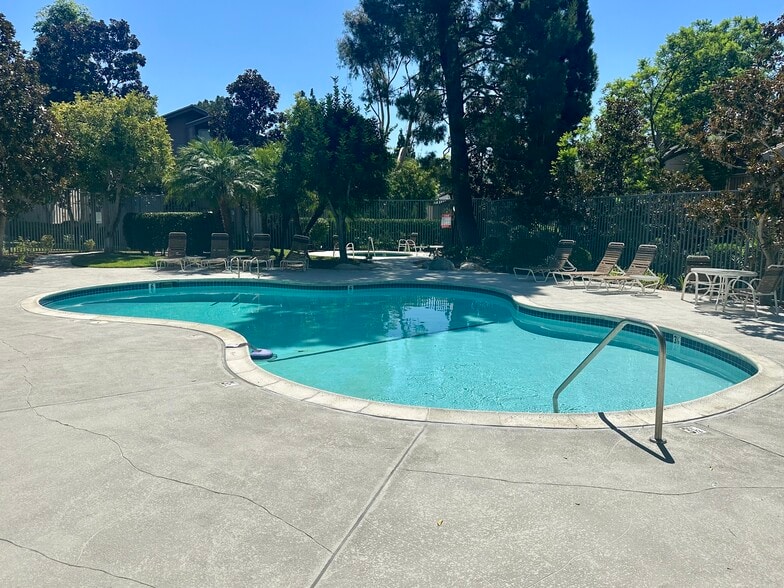 Pool - 26701 Quail Crk