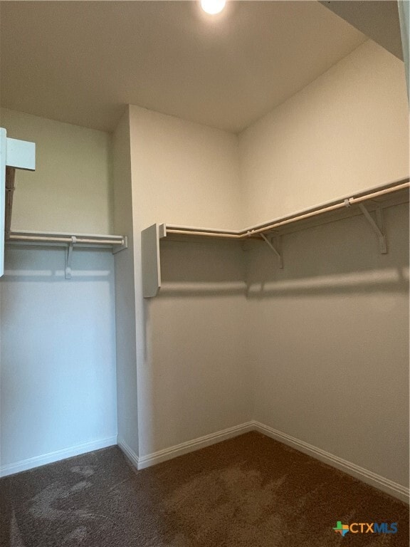 Building Photo - 532 Peony Ct