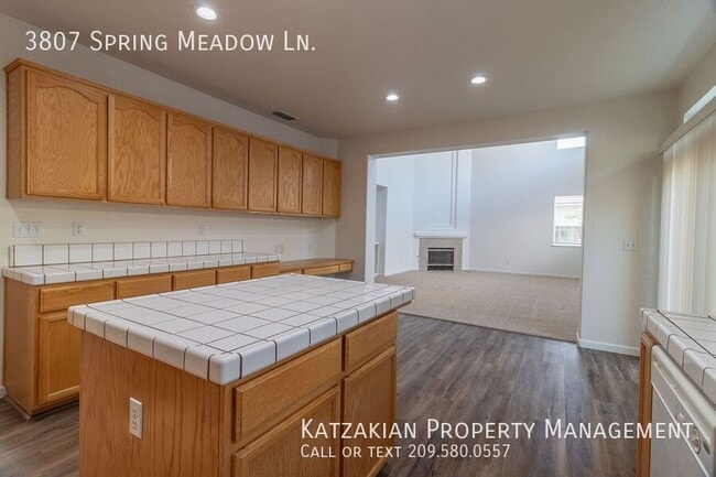 Building Photo - 3807 Spring Meadow Ln