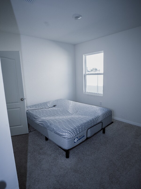 Building Photo - 3721 Swanfalls Terrace