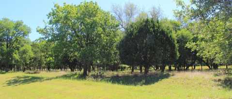 Building Photo - 118 Larkspur Ln